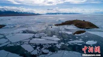 文蓝冰最新爆料,揭秘娱乐圈惊天秘密